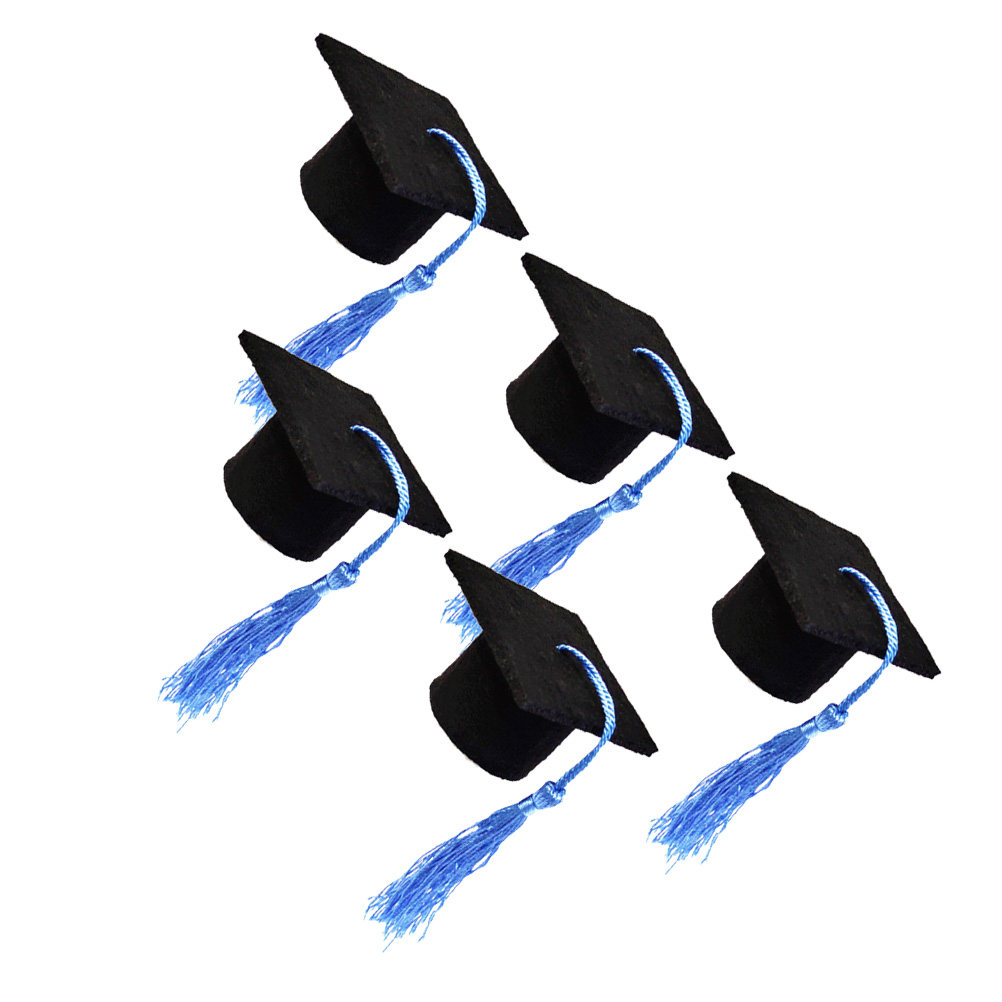 5Pcs Doctoral Cover Light Blue - đánh giá và giá Wine Beer Festival