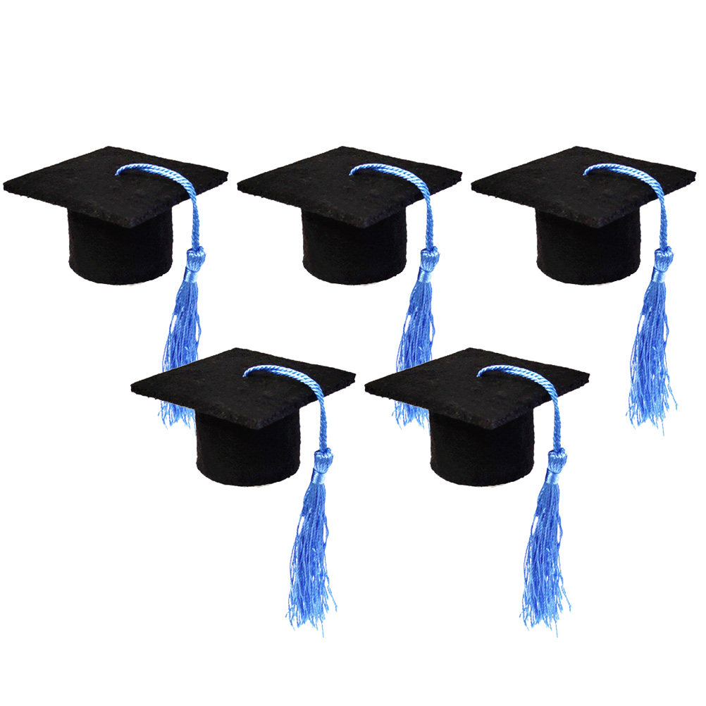 5Pcs Doctoral Cover Light Blue - đánh giá và giá Wine Beer Festival