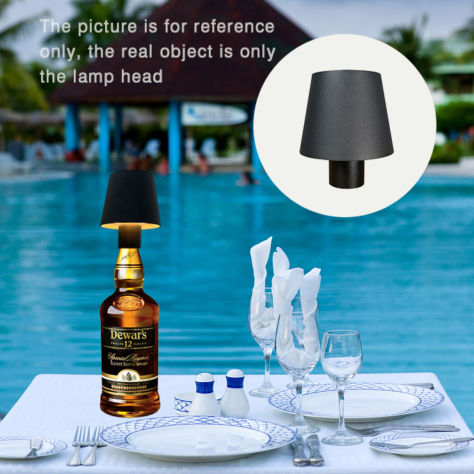 Home Decor Dimmable Rechargeab - đánh giá và giá Wine & Beer Hydrometer
