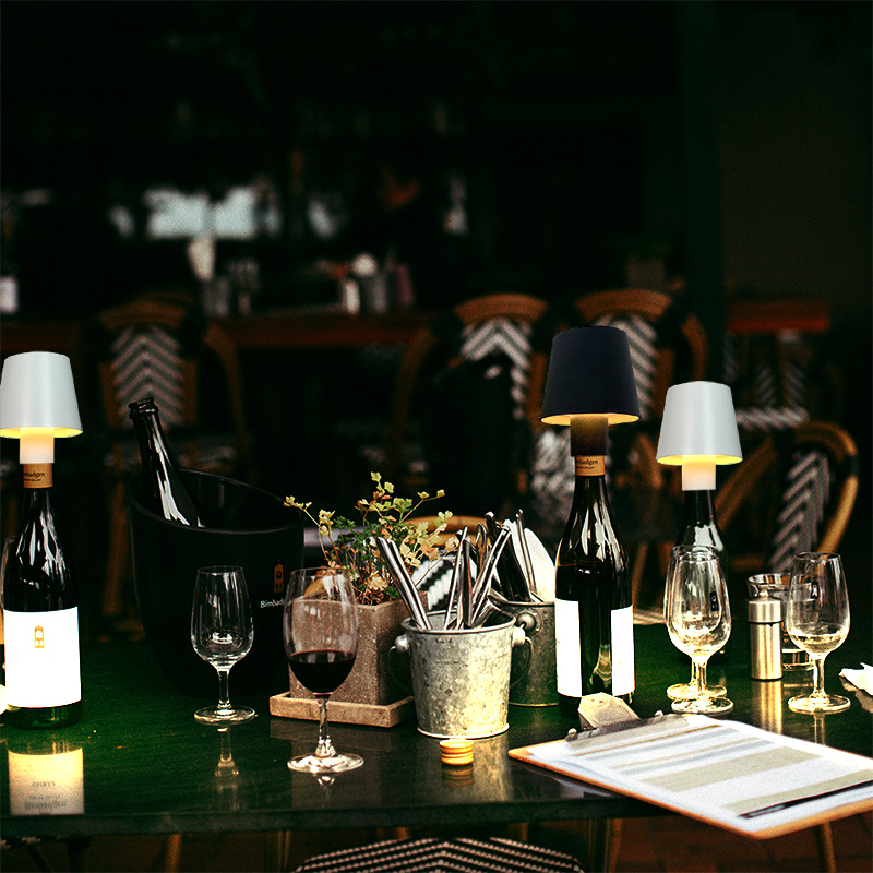 Home Decor Dimmable Rechargeab - đánh giá và giá Wine & Beer Hydrometer